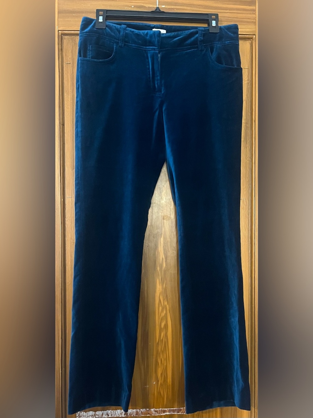 Cache Velvet Teal Blue Pants size 4